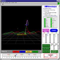 Gait Analysis System
